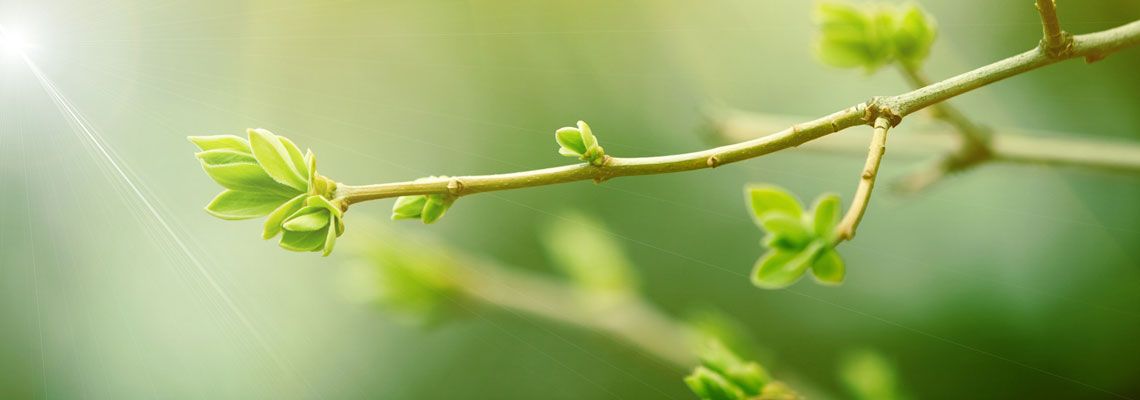 Kooperation mit Hospiz Bethel e. V.: „Bekenntnis zu gewachsener Zusammenarbeit“