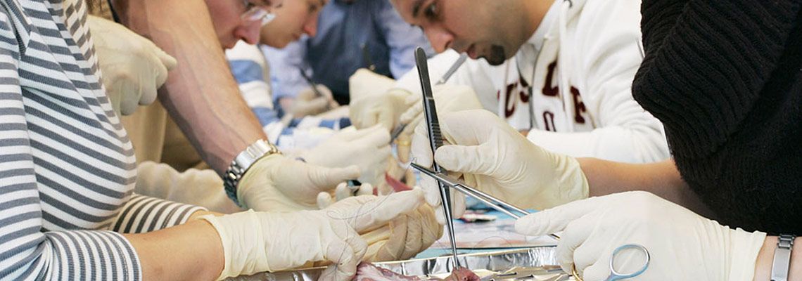 Tagung Interprofessionalität 2025: Hand in Hand für die bestmögliche Patientenversorgung 