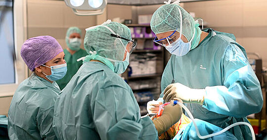 Alterstraumatologie
