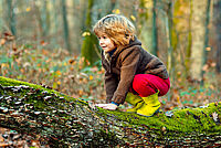 Hat der Waldboden etwas mit Kindergesundheit zu tun? Das wird in der Studie ENDEMIC am Evangelischen Klinikum Bethel erforscht. Foto: AdobeStock