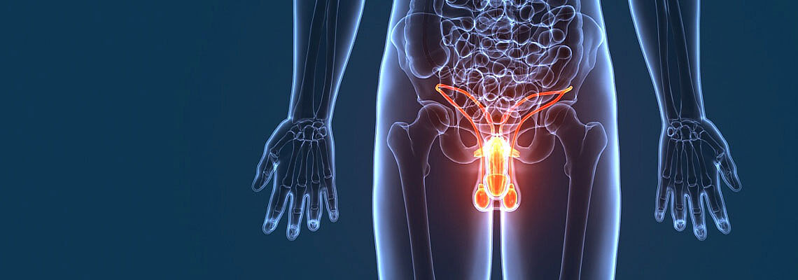 menschlich. führend. kompetent.