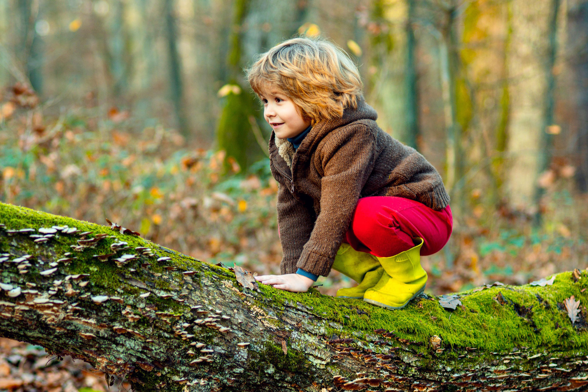 Hat der Waldboden etwas mit Kindergesundheit zu tun? Das wird in der Studie ENDEMIC am Evangelischen Klinikum Bethel erforscht. Foto: AdobeStock