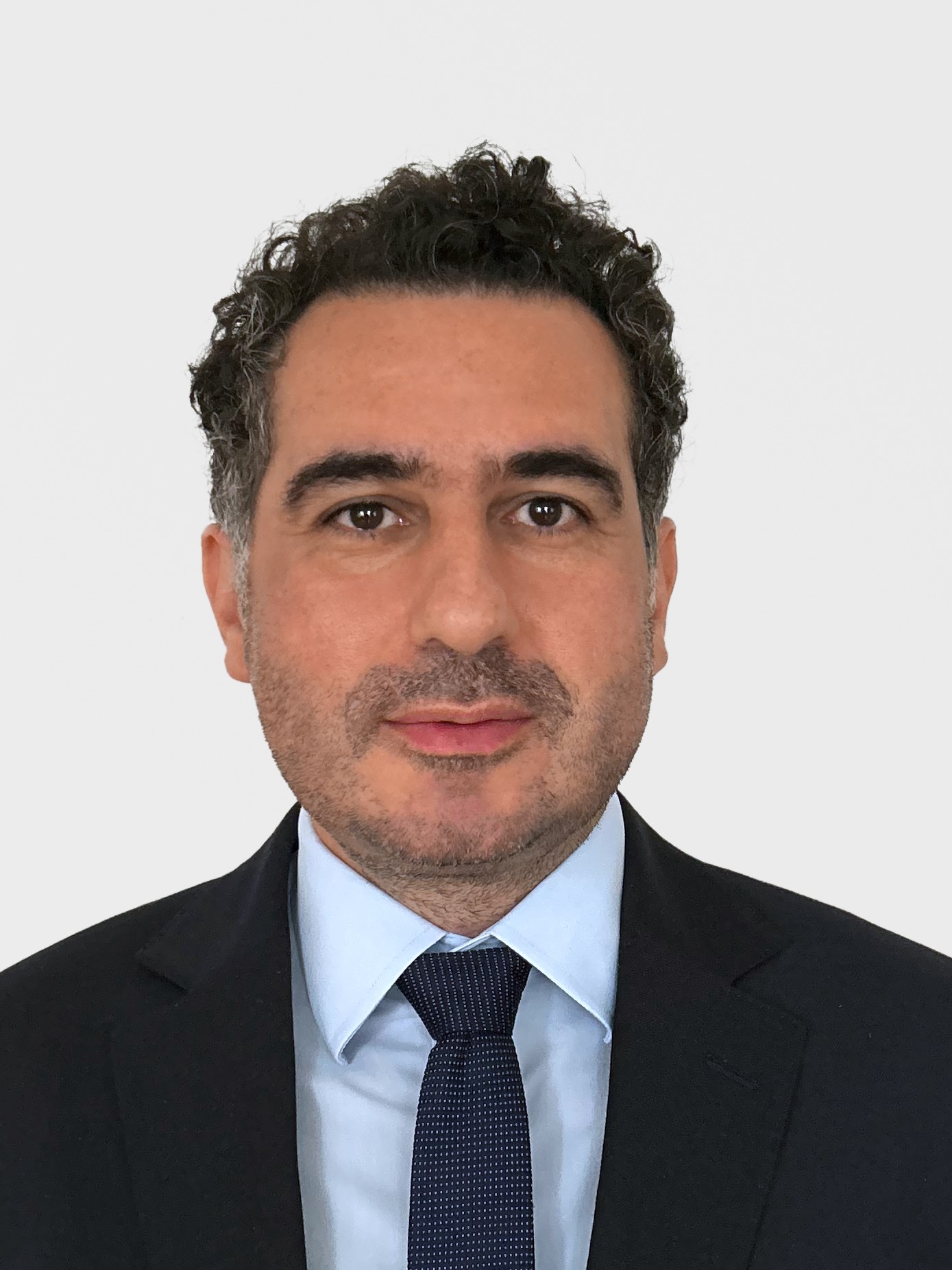 Omid Nikoubashman